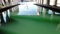 Venedig (152)